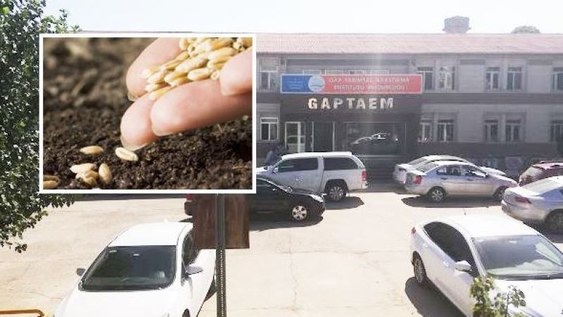 Urfa tarımda adından söz ettirecek !