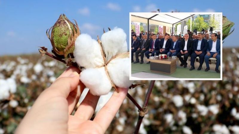 Urfa pamuğu nihayet katma değere dönüştürülecek !