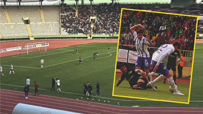 Ceylanlar evinde vurgun yedi 