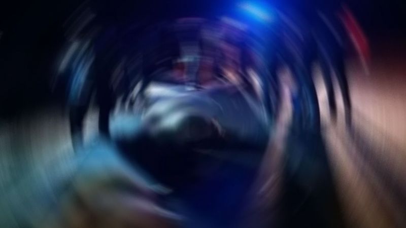 Urfa’da ticari araç, koyunların arasına daldı