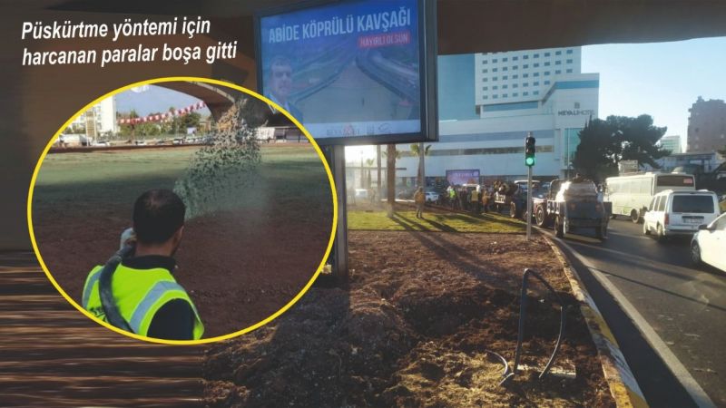 Abide'ye hazır çim seriliyor