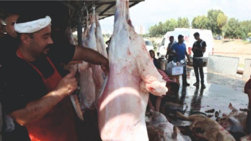 Acemi kasaplar dikkat!