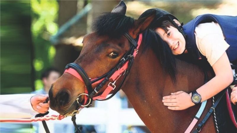 TJK 11. Resim Yarışması Sergisi Urfa’da açılıyor