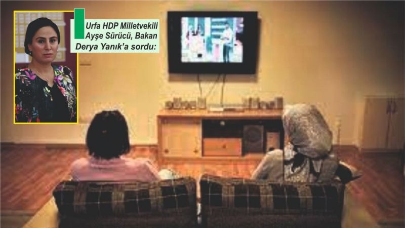 Urfa'da kaç Kadın Sığınma Evi var?