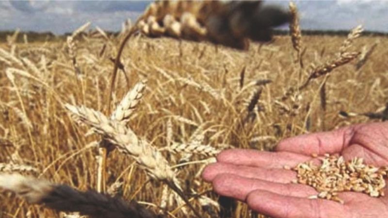 Acele eden üretici zarar eder