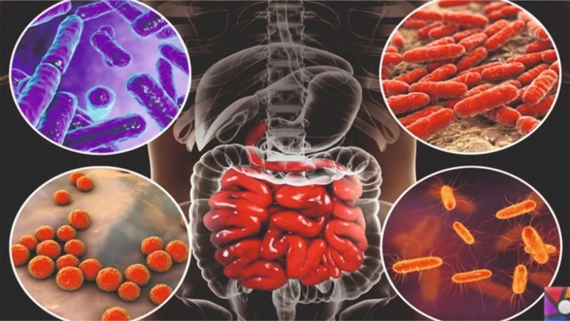 Bağırsaklarımız 10 altın öneri 