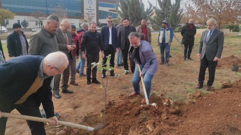 Harran Üniversitesi'nden 'Meyvecilik' hamlesi 
