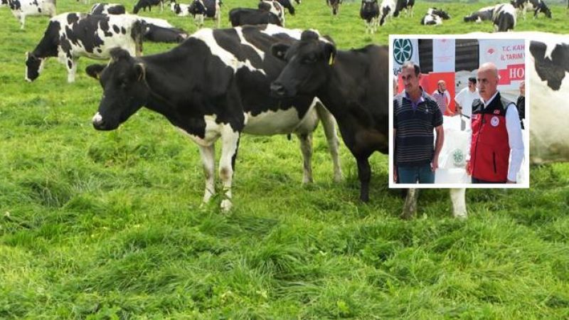 Bakan Kirişçi: 11 ilde hayvan dağıtımına başlayacağız !