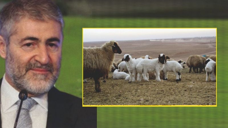 'Hasan'ın mal varlığını kestirdi, Hans'ın kapısını çalıyor'