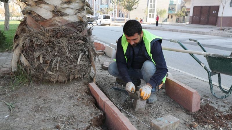 Kuş, yem yeşil Eyyübiye için durmadan çalışacağız