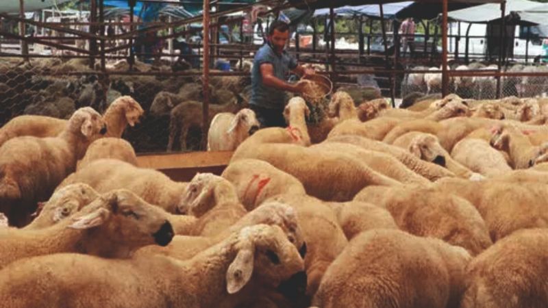 Satılamayanları ESK satın alacak