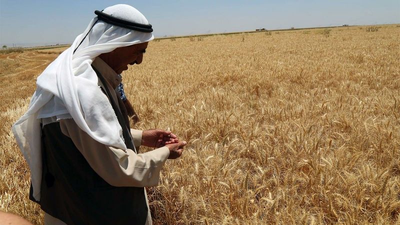 Rekolte beklentilerin altında kaldı!