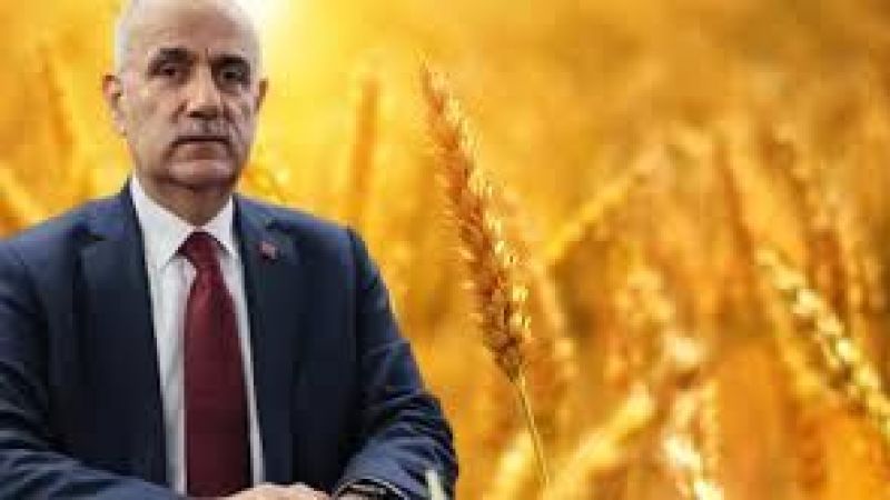 BUĞDAY ALIM FİYATI SORUSUNA BAKANDAN DİKKAT ÇEKEN CEVAP!