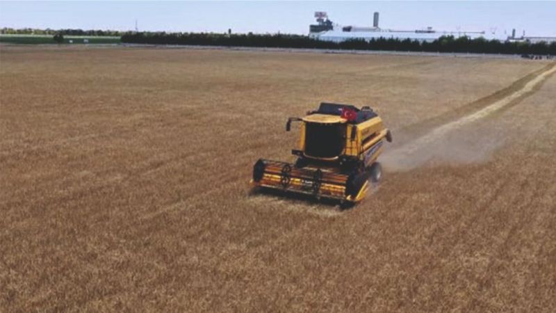 Buğday ve arpa fiyatları belli oldu