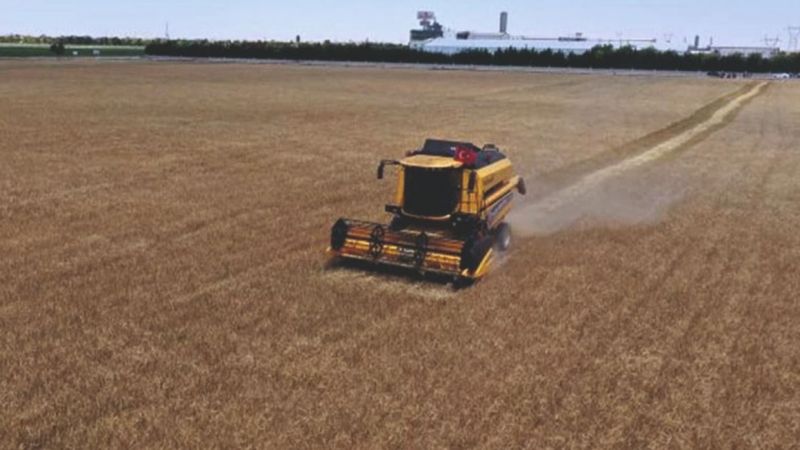 ŞUTB, buğday fiyatından memnun