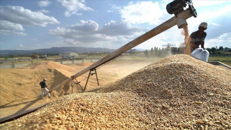 Urfa'da TMO'nun alım yapacağı adres belli oldu