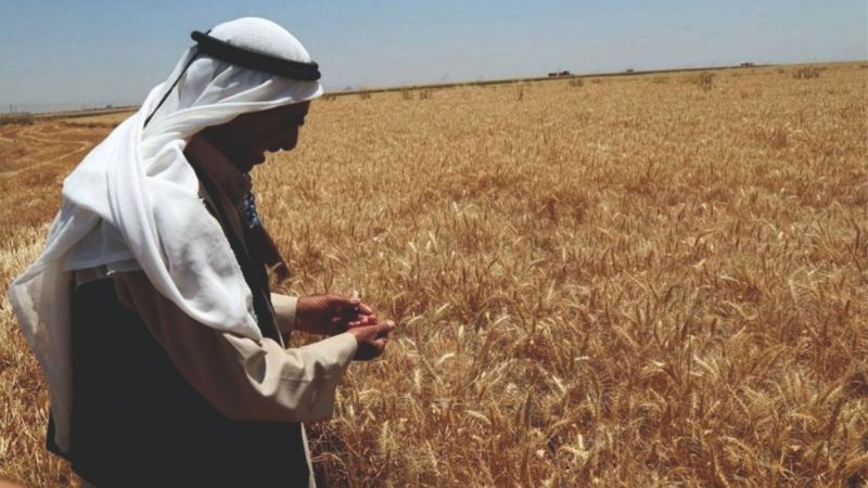 Urfa çiftçisinin hevesi kursağında kaldı