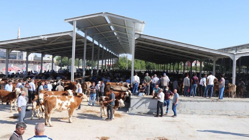 Bozova Yaylak Canlı Hayvan Pazarı Bayram öncesi açık