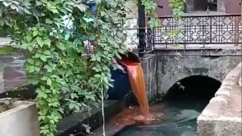 Tepki yağdı. Valilik harekete geçti 