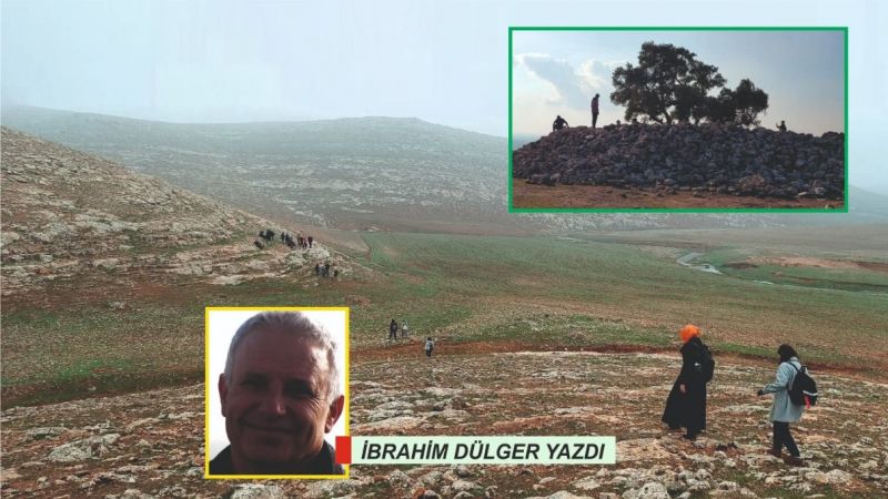 Cudi Antik kenti ve Anıt Zeytin ağacını bilir misiniz?