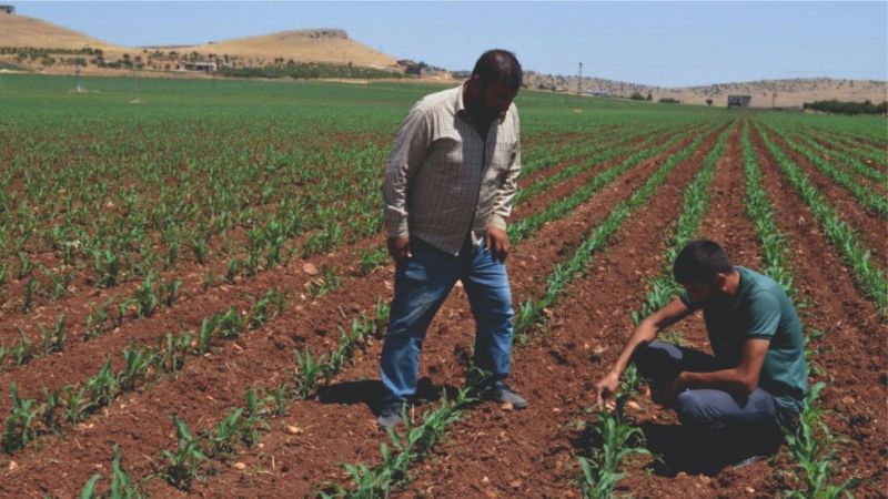 Urfa çiftçisi arttırılan desteklere sevinemedi