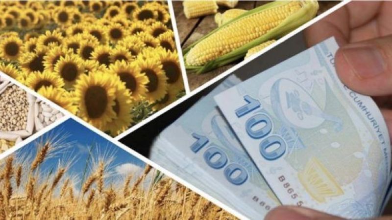 2022 tarım desteklerinin detayları belli oldu