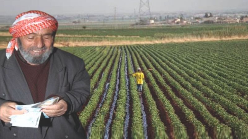 Tarımsal destekler hesaplara yatıyor