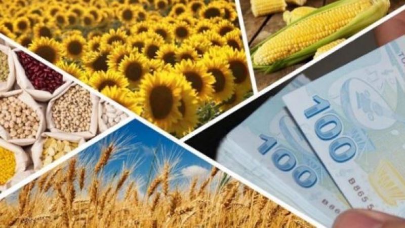 Desteklemeler hesaplara yatmaya başladı