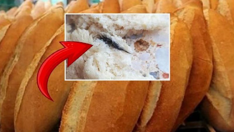 Urfa’da ekmekten çıkan cisim şaşırttı