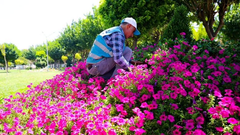 Eyyübiye parkları çiçekleniyor