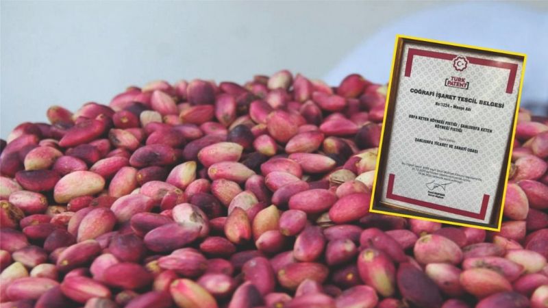 'Urfa Keten Köyneği Fıstığı'nı hazmedemediler