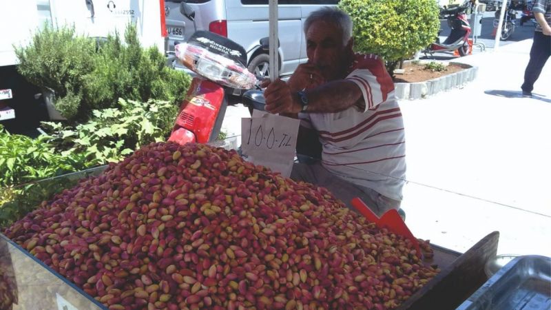 Urfa fıstığı Antep fıstığından daha lezzetlidir. Çünkü...