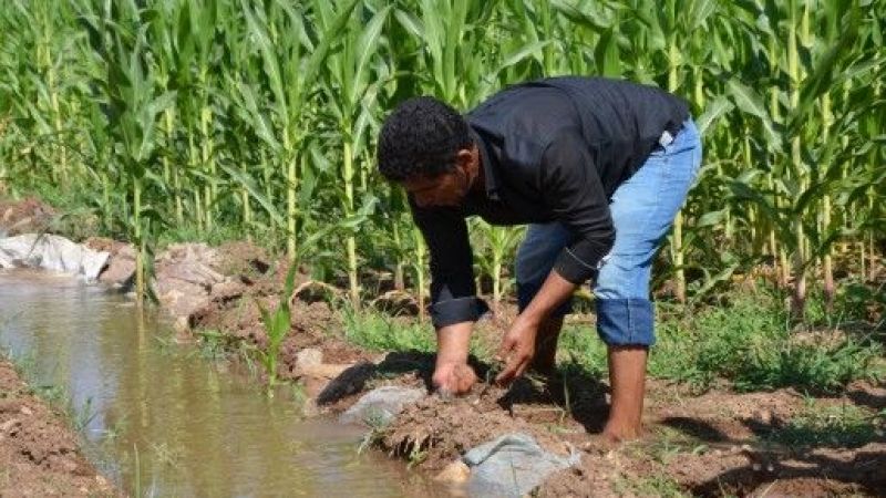 Tarımsal destekler yine yüzde 1'in altında kaldı!