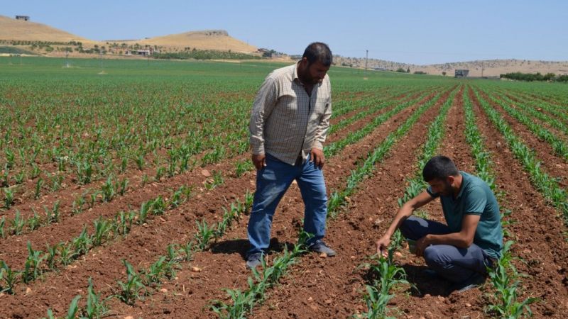 Günahtır günahhh!