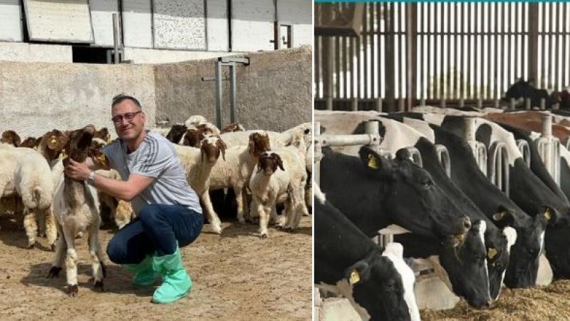 HRÜ’de hayvancılığa katkı sunacak proje geliştirildi