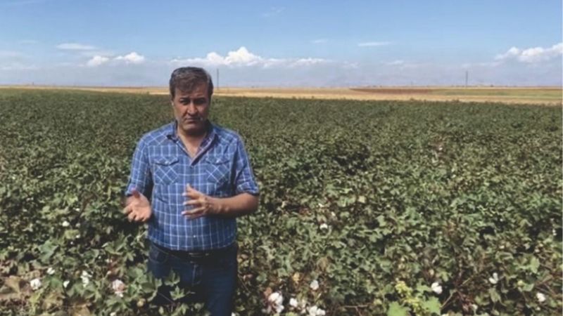 'Pamuk ithalatına sınırlama getirilmesini istiyoruz'