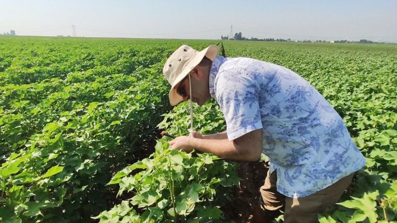 HRÜ'lü akademisyenlerden 'Yapay zeka' devrimi 