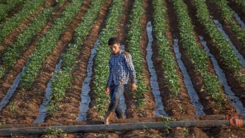 Tarımda yeni dönem. Zorluklar da var, fırsatlar da