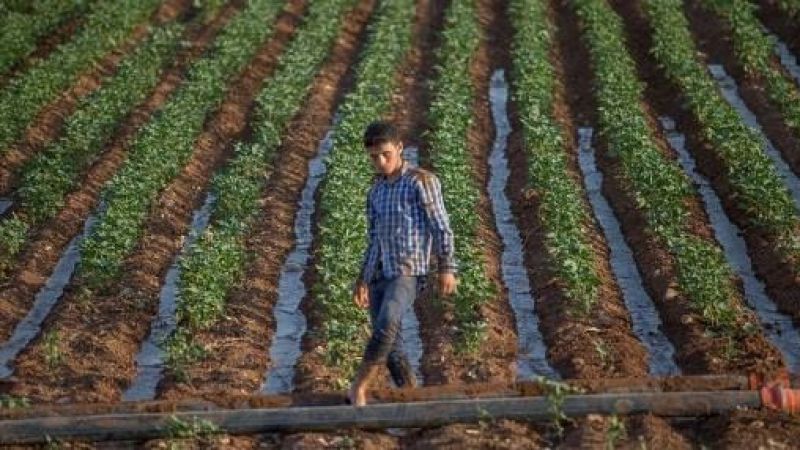 Destekler hesaplara yattı