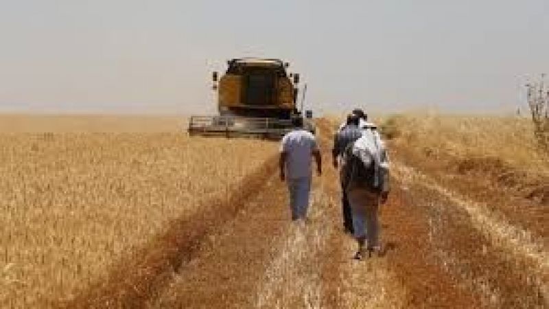 Tarımsal girdi fiyatlarındaki artış sürüyor