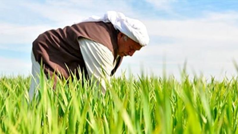 Tarımda polyanacılık oynamaya zamanı değil!