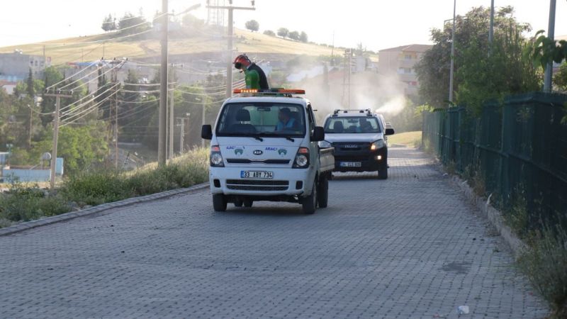 Bozova'dan haşereye karşı ilaçlama 