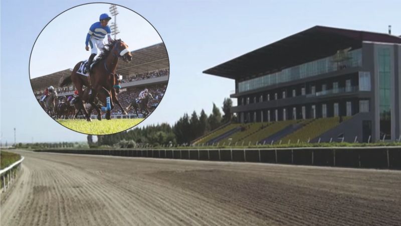 Urfa aslanı sayesinde bir kez daha gündeme geldi