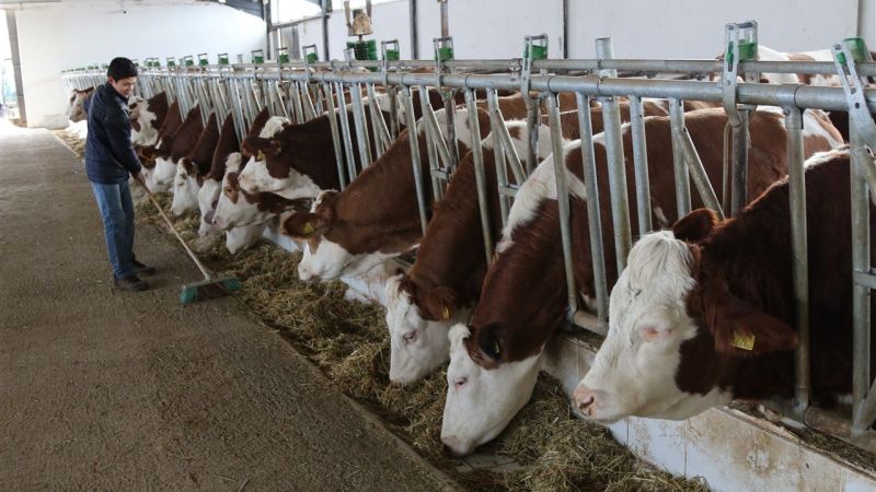 Aksaray’da çalındı Urfa’da bulundu