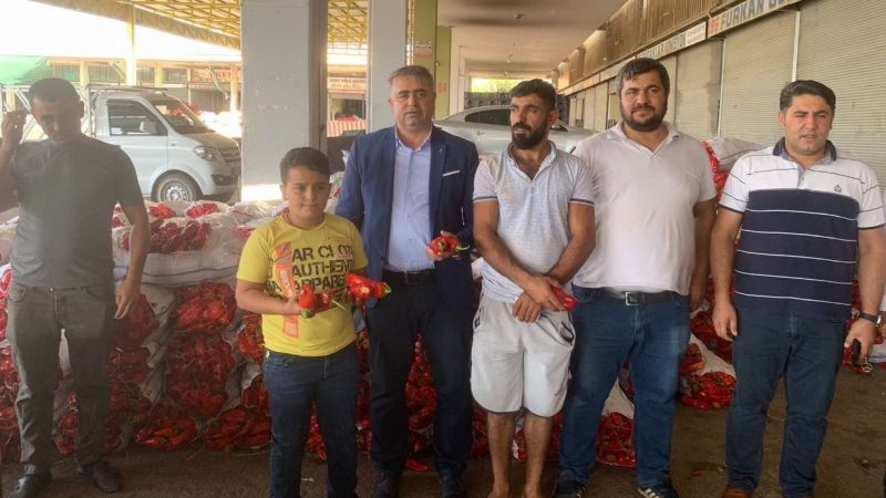 İsot satışında kaporalı dönem