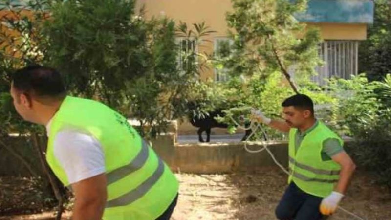 Kaçan kurbanlık, ekiplere zor anlar yaşattı