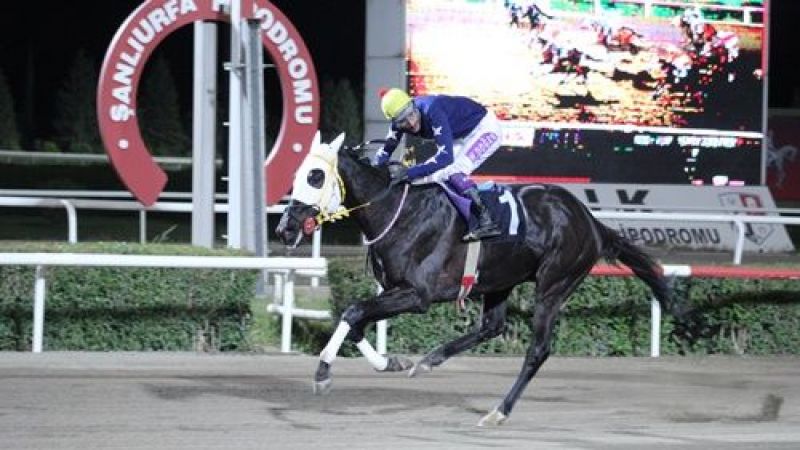 Şanlıurfa Gençlik Haftası Koşusu'nu Kara Abjar kazandı