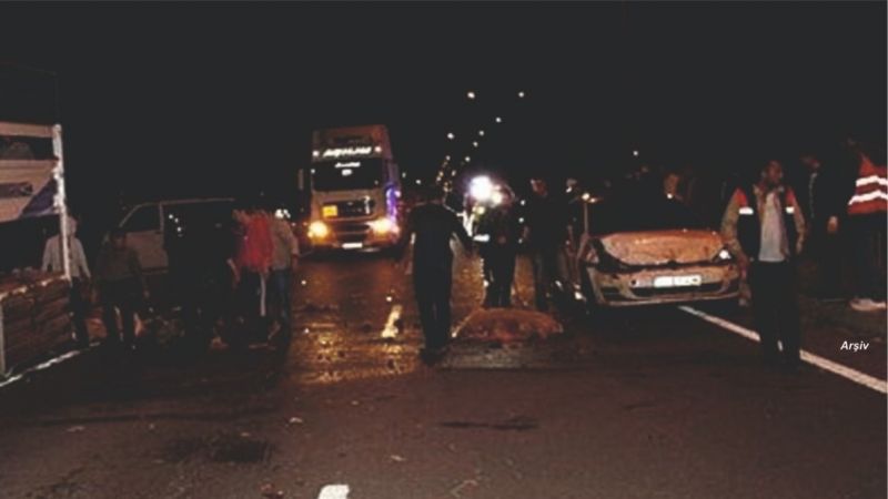 Otomobil sürüye daldı: 30 koyun telef oldu