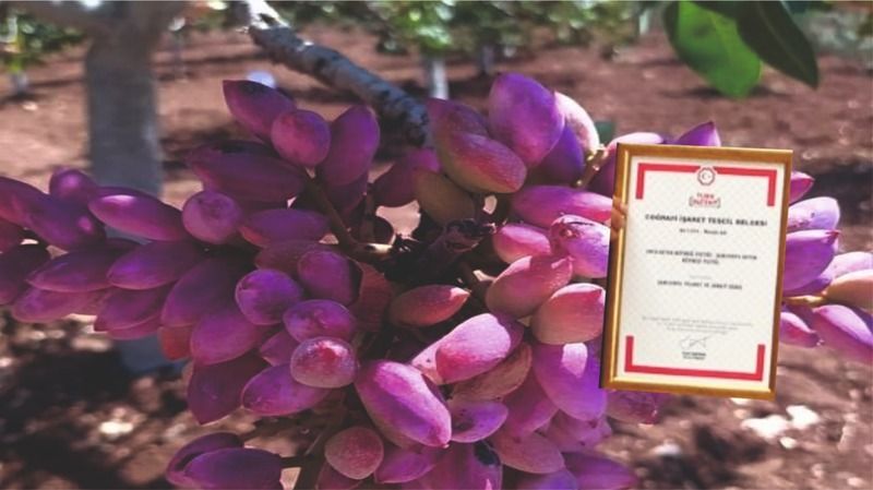 Günün güzel haberi