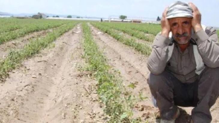 Urfa çiftçisini yine kuraklık korkusu sardı 